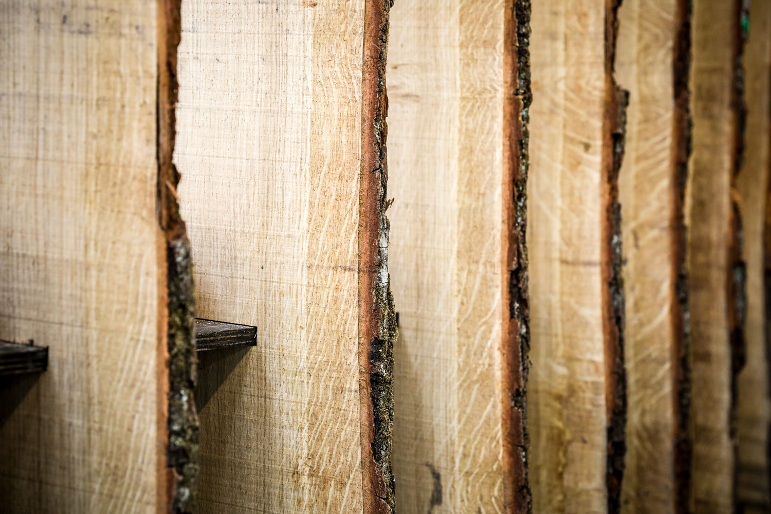 SophieMitchellPhotography.UELSculpture2021-215