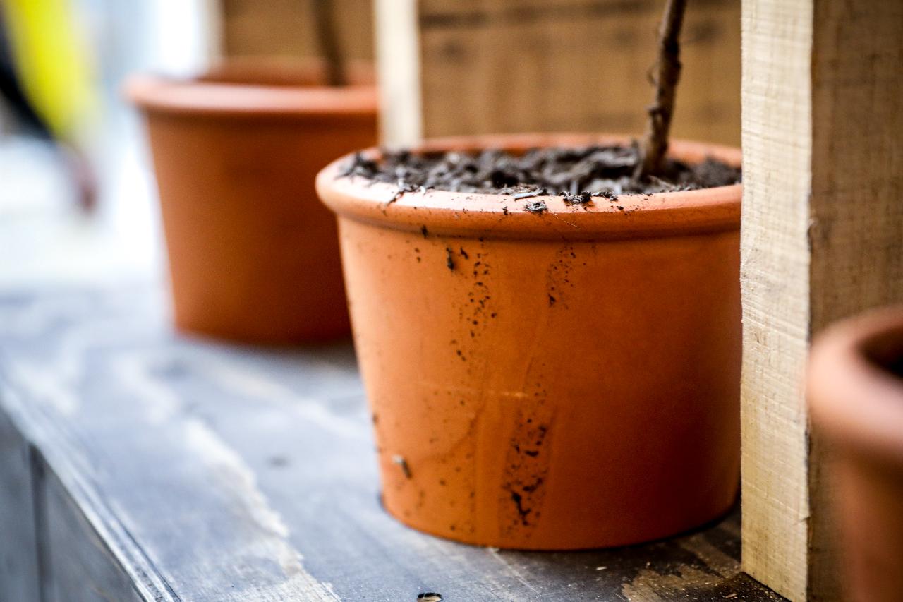 SophieMitchellPhotography,UELSculpture2021-154