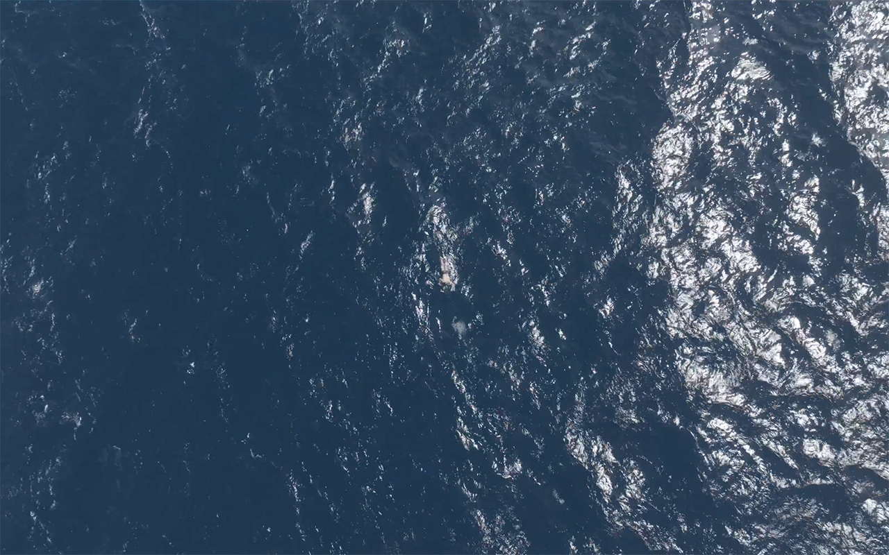 Screenshot 2023-11-28 at 11.33.10