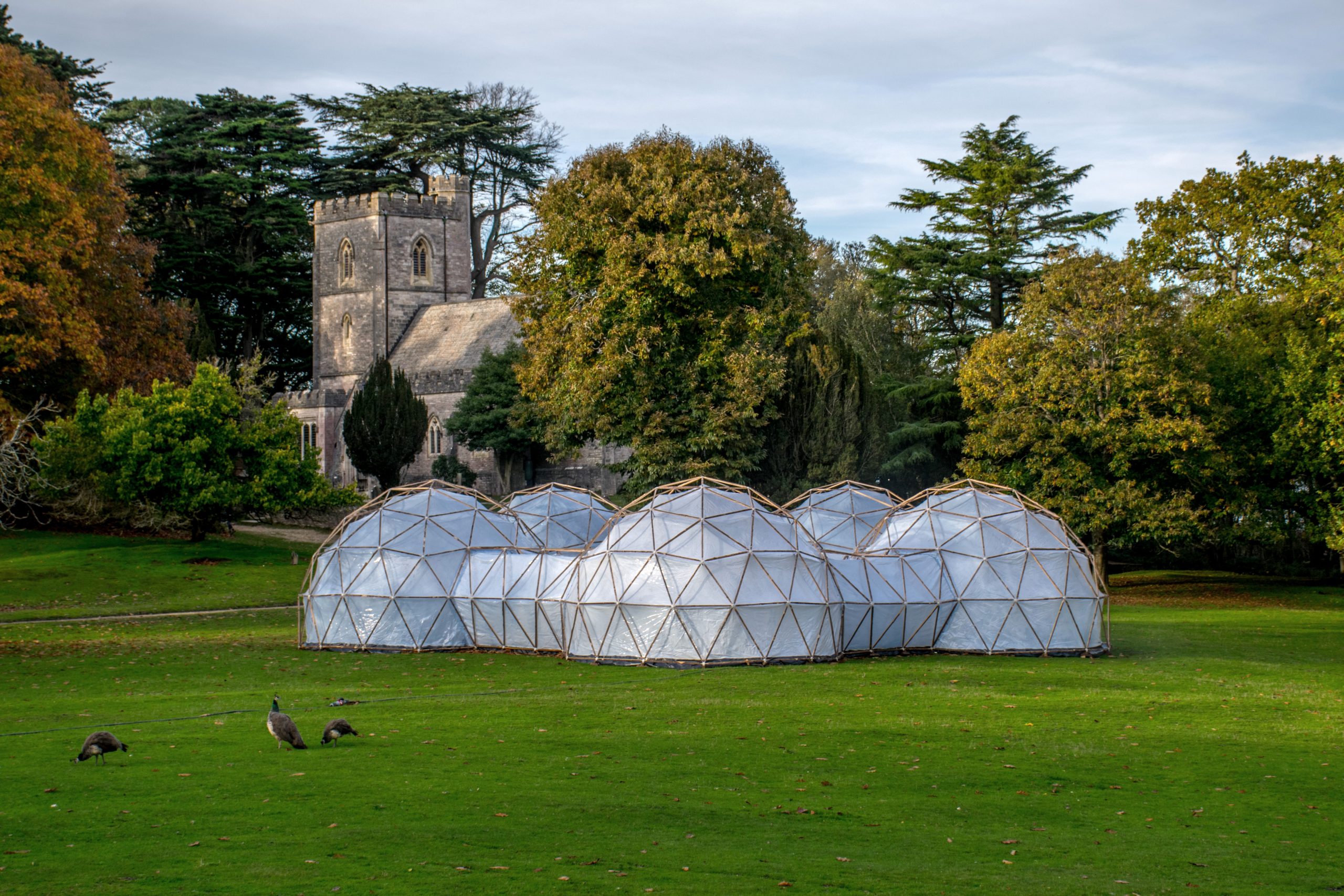 PollutionPods on Brownsea Island Photo Credit Michael Pinsky-0278